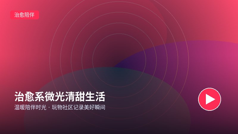 套路回放